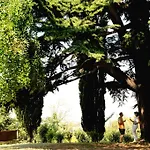 팜스테이 Tenuta Montegrande 1893 산살바토레몬페라토