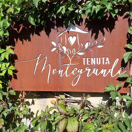 Tenuta Montegrande 1893 *