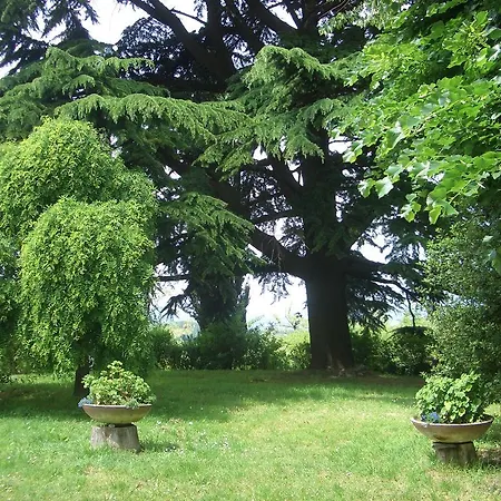 Çiftlik konaklama Tenuta Montegrande 1893